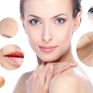 Cấy Trắng Nhau Thai Cừu Placenta