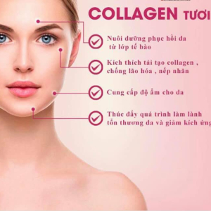 Săn Chắc Da Với Collagen Tươi