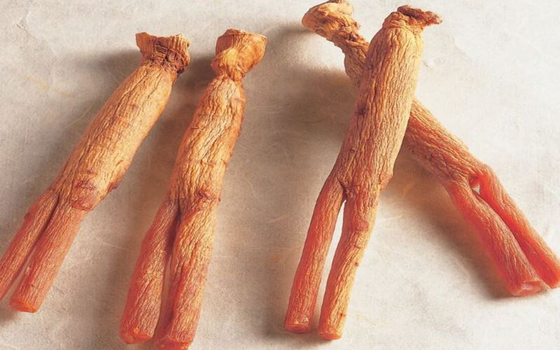 cay-te-bao-goc-red-gingseng-1