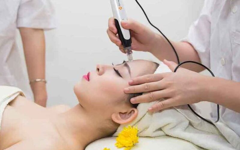 cay-te-bao-goc-red-gingseng-2