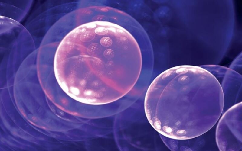 Trẻ hóa da bằng tế bào gốc tự thân